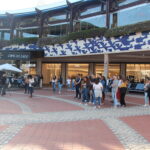 Sul Informação - Oito artistas algarvios ganham Palco na RUA