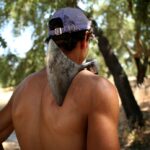 Sul Informação - Imagens de um singular Algarve