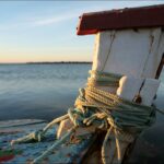 Sul Informação - Imagens de um singular Algarve – Memória das orgânicas embarcações