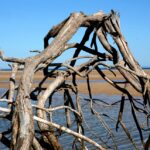 Sul Informação - Imagens de um singular Algarve