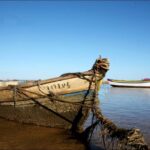 Sul Informação - Imagens de um singular Algarve – Memória das orgânicas embarcações