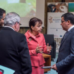 Sul Informação - Há 4,8 milhões de euros à espera de financiar projetos de inovação social no Algarve