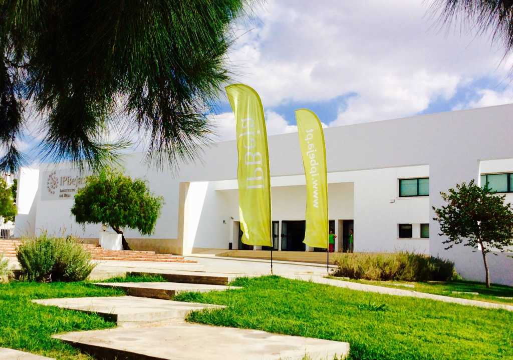 Sul Informação - Instituto Politécnico de Beja promove cooperação entre instituições