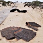 Sul Informação - Ilha de Tavira “lambe feridas” do temporal enquanto espera pelo próximo