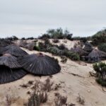 Sul Informação - Ilha de Tavira “lambe feridas” do temporal enquanto espera pelo próximo