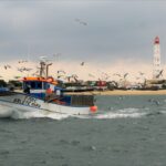 Sul Informação - Farol e Hangares não desistem da luta contra demolições e têm a ajuda de Catarina Martins