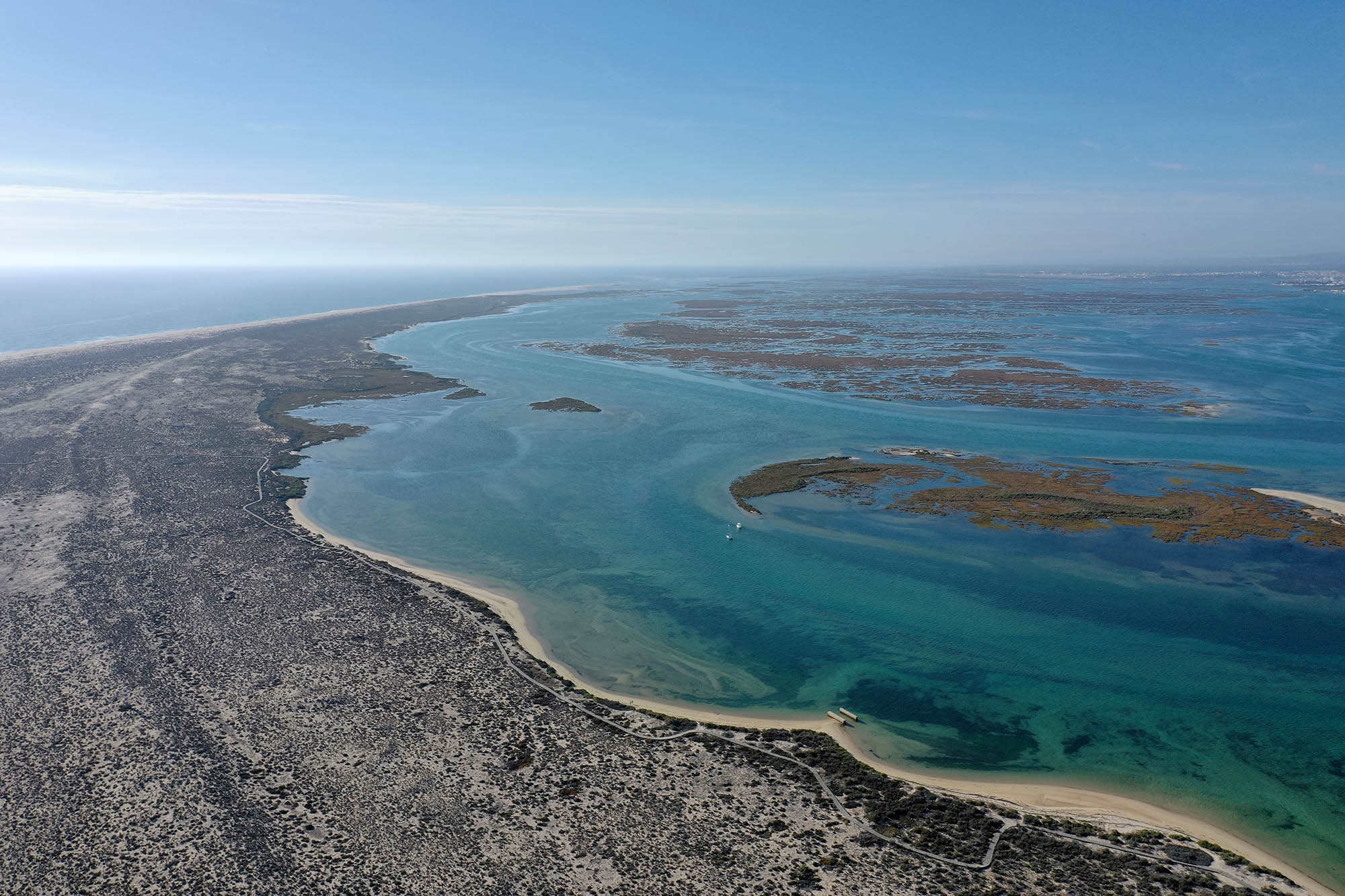 Sul Informação - SPEA: «Sem zonas húmidas, não sobreviveremos às alterações climáticas»