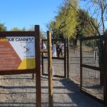 Sul Informação - São Brás deu «passo importante em prol do bem-estar animal» com novo parque canino