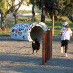 Sul Informação - São Brás deu «passo importante em prol do bem-estar animal» com novo parque canino