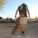 Sul Informação - São Brás deu «passo importante em prol do bem-estar animal» com novo parque canino