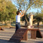 Sul Informação - São Brás deu «passo importante em prol do bem-estar animal» com novo parque canino