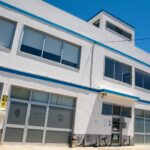Sul Informação - A alfarroba agora é “cool” e sai de Faro para o mundo