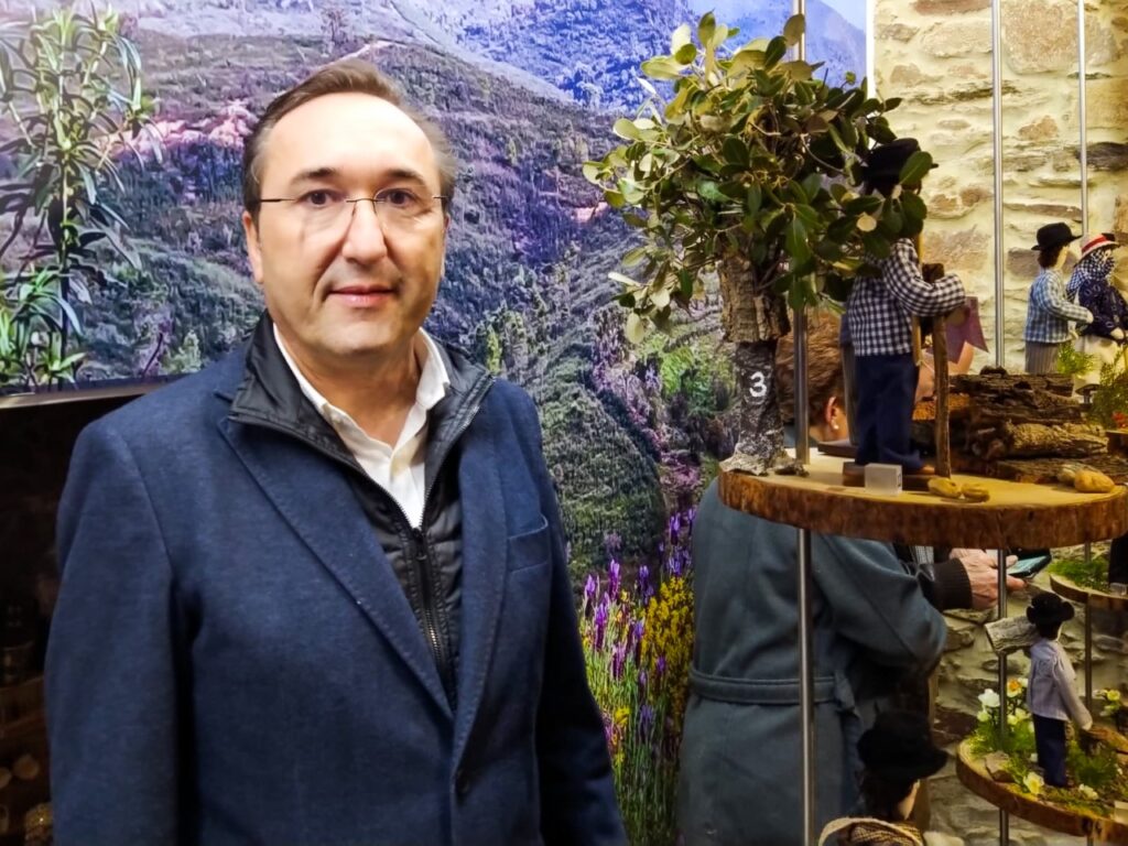 Sul Informação