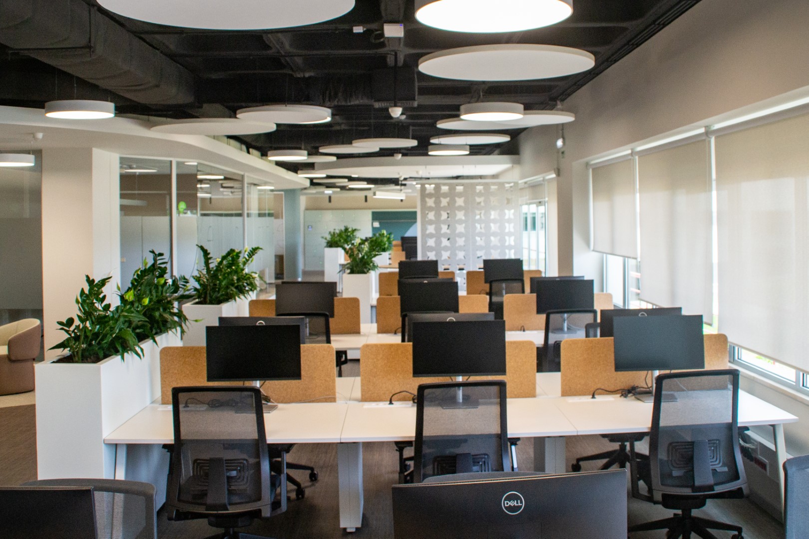 Sul Informação - Deloitte instala-se em Faro para prestar serviços diferenciados e de «valor acrescentado»