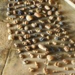 Sul Informação - Open Studios já começaram a “Ser” visitados em Faro