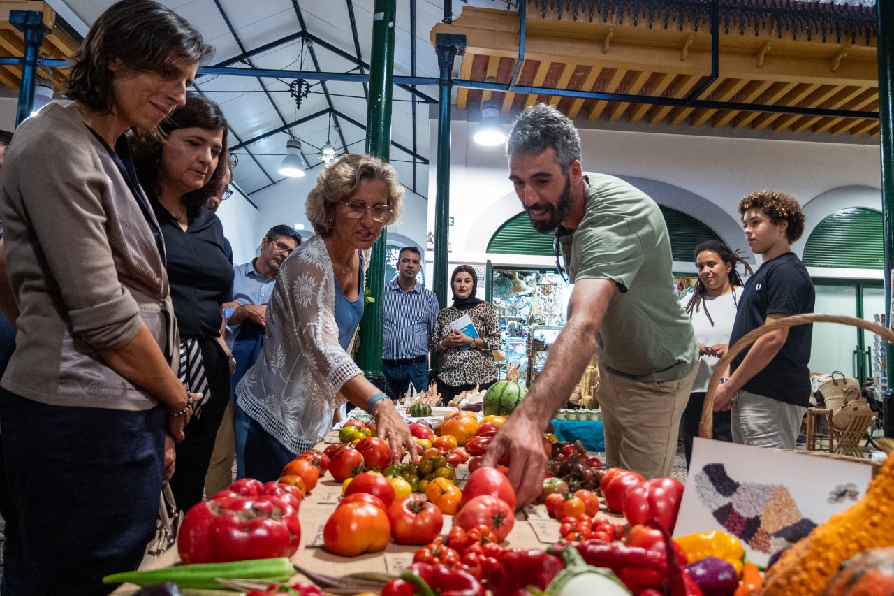 Sul Informação - As muitas facetas da Dieta Mediterrânica já se estão a mostrar em Tavira