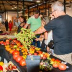 Sul Informação - Dieta Mediterrânica espalha o seu perfume por Tavira até domingo