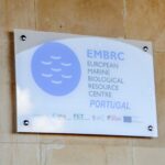 Sul Informação - Laboratório Europeu de Recursos Biológicos Marinhos pode atrair empresas para o Algarve