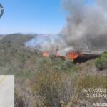Sul Informação - Câmara de Almodôvar agradece o esforço dos operacionais no combate ao incêndio junto à A2