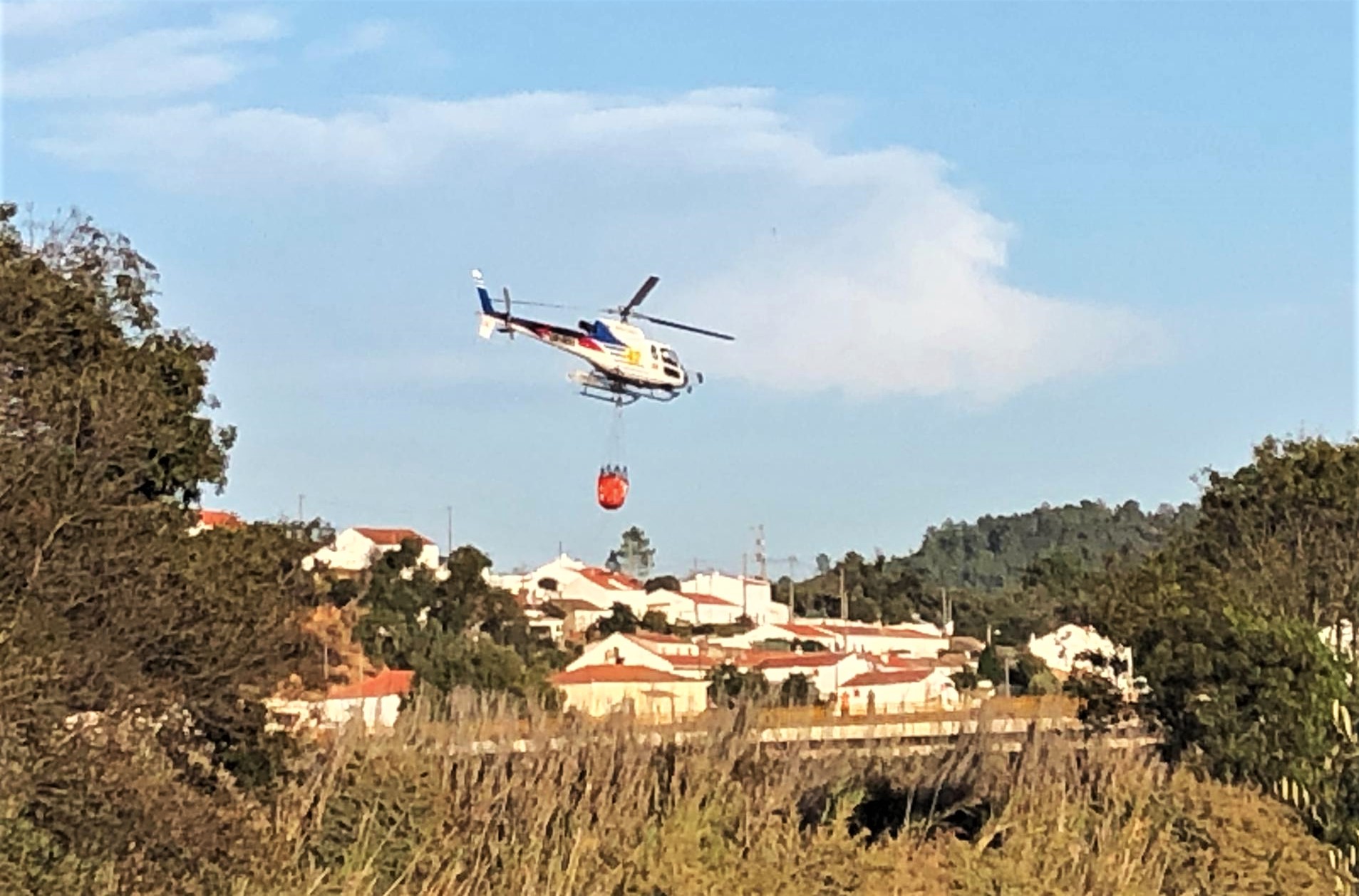 Sul Informação - Incêndios no Algarve foram dominados