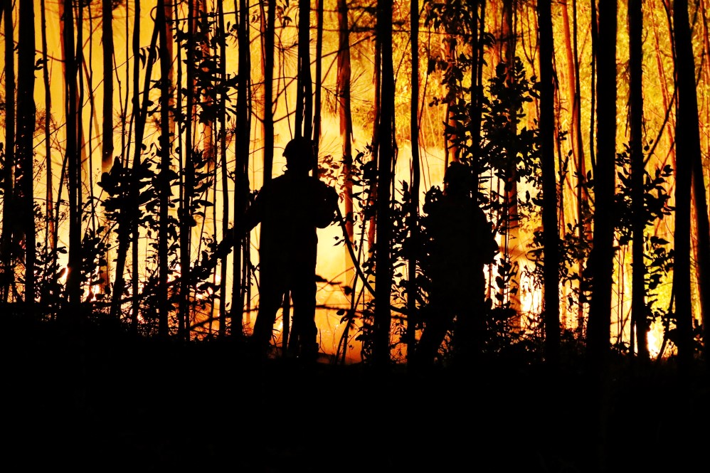 Sul Informação - Pessoas retiradas de casa por precaução no incêndio de Monchique (com fotos)