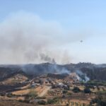 Sul Informação - Agricultores afetados pelo incêndio de Castro Marim, Tavira e VRSA já podem reportar prejuízos