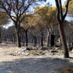 Sul Informação - Dominado o incêndio, «é hora de arregaçar as mangas e trabalhar»