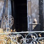 Sul Informação - Dominado o incêndio, «é hora de arregaçar as mangas e trabalhar»