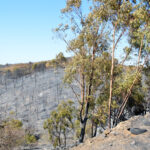 Sul Informação - Dominado o incêndio, «é hora de arregaçar as mangas e trabalhar»