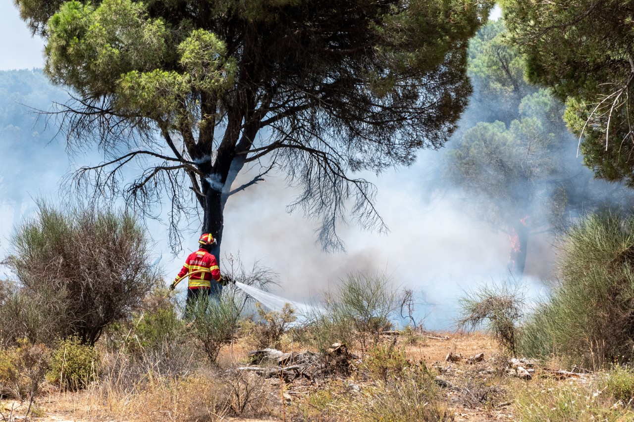 Sul Informação - Incêndio de Gambelas lavra a poucos metros da vedação da Universidade do Algarve