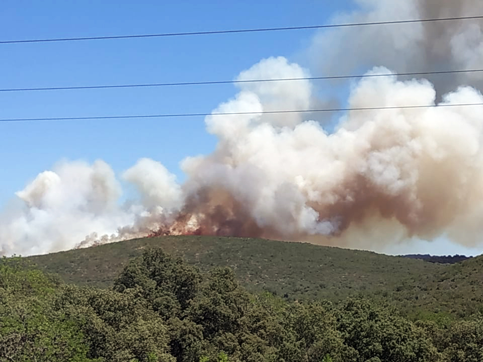 Sul Informação - Sete meios aéreos combatem incêndio em Loulé
