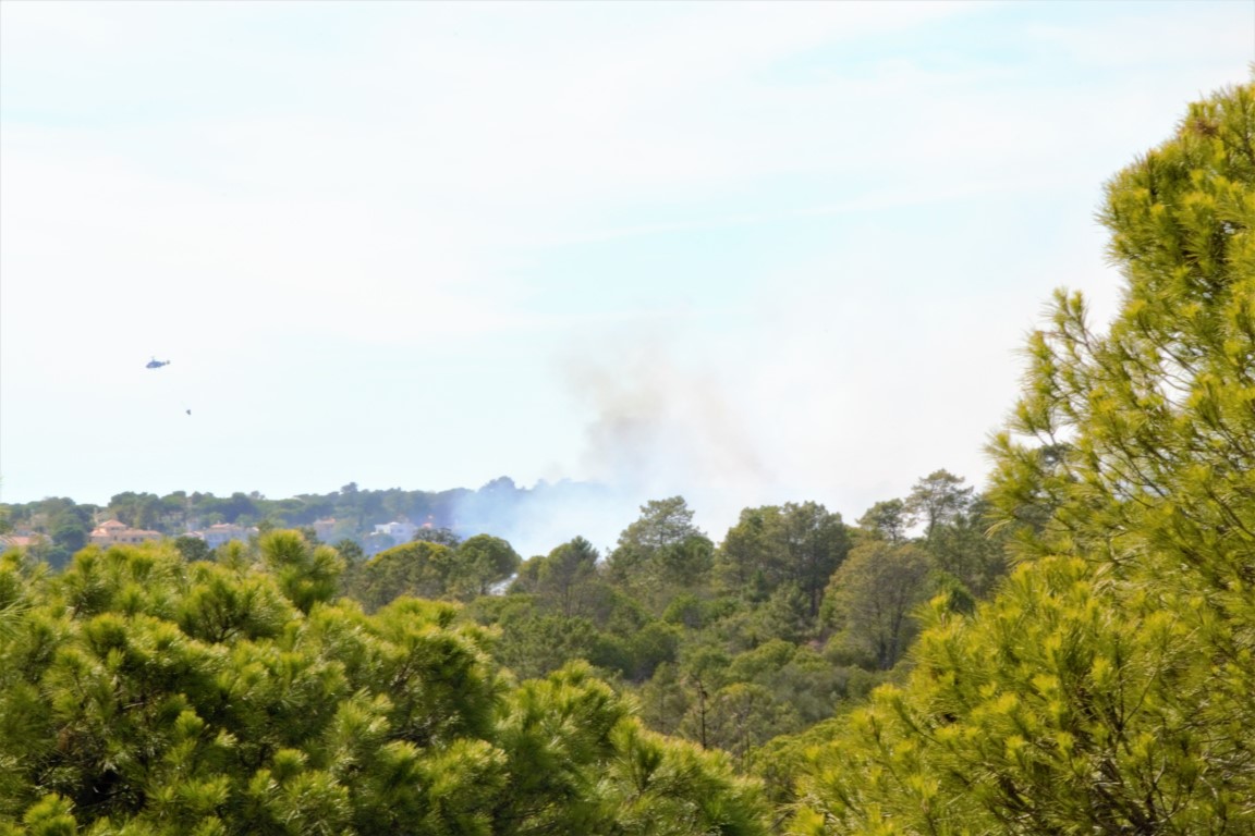 Sul Informação - Dois helicópteros combatem incêndio no Ludo