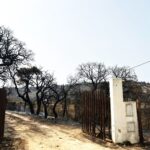 Sul Informação - Dispositivo não desmobiliza para combater reacendimentos do incêndio