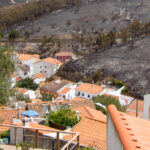 Sul Informação - «Nós estamos cá, mas o fogo destruiu-nos o trabalho de uma vida»