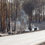 Sul Informação - «Nós estamos cá, mas o fogo destruiu-nos o trabalho de uma vida»