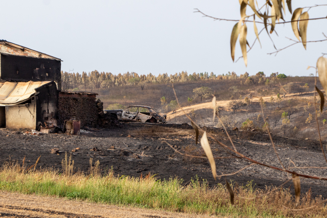 Sul Informação - «Nós estamos cá, mas o fogo destruiu-nos o trabalho de uma vida»