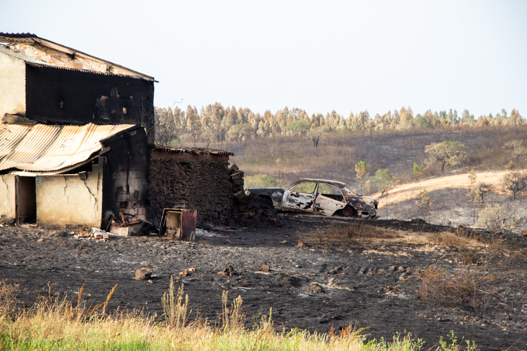 Sul Informação - «Nós estamos cá, mas o fogo destruiu-nos o trabalho de uma vida»