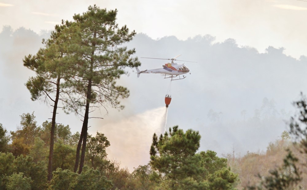 Sul Informação - Portimão: Incêndio com duas frentes no Rasmalho já está controlado (com fotos)