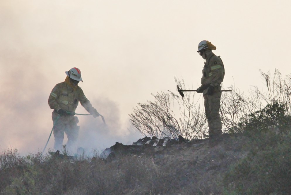 Sul Informação - Portimão: Incêndio com duas frentes no Rasmalho já está controlado (com fotos)