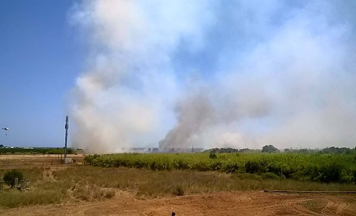 Sul Informação - Incêndio está a lavrar na zona do Rio Seco à entrada da cidade de Faro