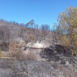 Sul Informação - Incêndio de São Marcos da Serra já está controlado