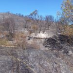 Sul Informação - Incêndio de São Marcos da Serra já está controlado