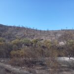 Sul Informação - Incêndio de São Marcos da Serra já está controlado
