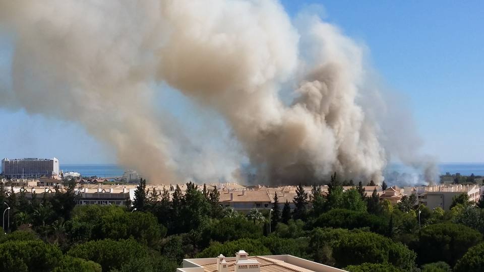 Sul Informação - Incêndio devora mato e canavial em Vilamoura