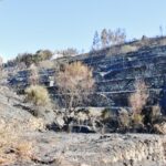 Sul Informação - Monchique quer ser «projeto piloto nacional de prevenção estrutural da floresta»