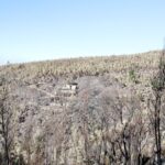 Sul Informação - Hotel do Grupo Pestana e várias localidades de Portimão evacuadas devido ao incêndio