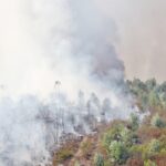 Sul Informação - Hotel do Grupo Pestana e várias localidades de Portimão evacuadas devido ao incêndio