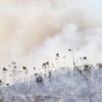 Sul Informação - Hotel do Grupo Pestana e várias localidades de Portimão evacuadas devido ao incêndio