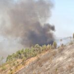 Sul Informação - Hotel do Grupo Pestana e várias localidades de Portimão evacuadas devido ao incêndio