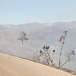 Sul Informação - Hotel do Grupo Pestana e várias localidades de Portimão evacuadas devido ao incêndio